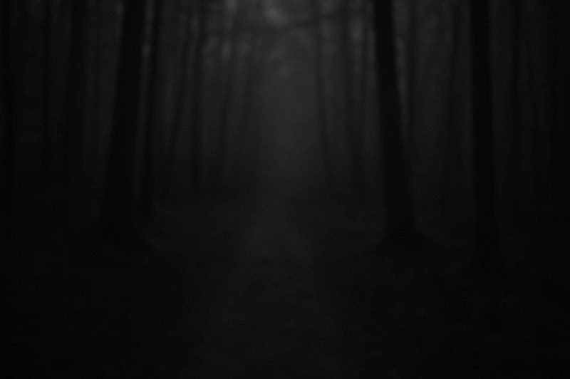 Fear Of The&nbsp;Dark