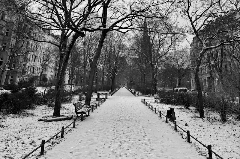 Schwarz‑weiß‑Fotografie eines verschneiten Parkwegs, der geradeaus zwischen kahlen Winterbäumen verläuft. Links stehen leere Parkbänke, rechts parken einige Autos, und im Hintergrund ist eine historische Gebäudezeile angedeutet. Die Szene wirkt ruhig, winterlich und leicht melancholisch.